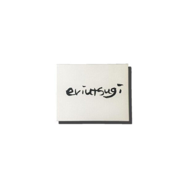 e- Suspender [Limited time Reservation Product] - 画像 (2)